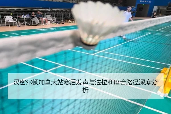 han-mi-er-dun-jia-na-da-zhan-sai-hou-fa-sheng-yu-fa-la-li-mo-he-lu-jing-shen-du-fen-xi-2-257.jpg
